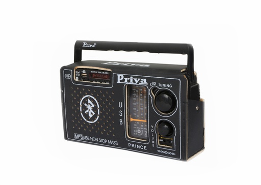 Priya Portable 5 Band Radio 